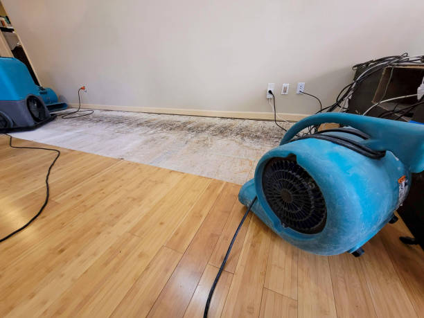 Professional Structural Drying technician working in Grant, NE